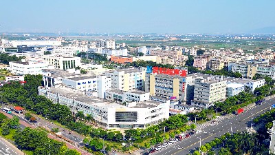 從技術突圍到信任深耕：解碼靈科超聲波的全球制造密碼
